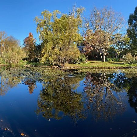 Holly Lane Mews Motel Yarra Glen Dış mekan fotoğraf