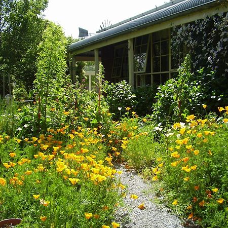 Holly Lane Mews Motel Yarra Glen Dış mekan fotoğraf