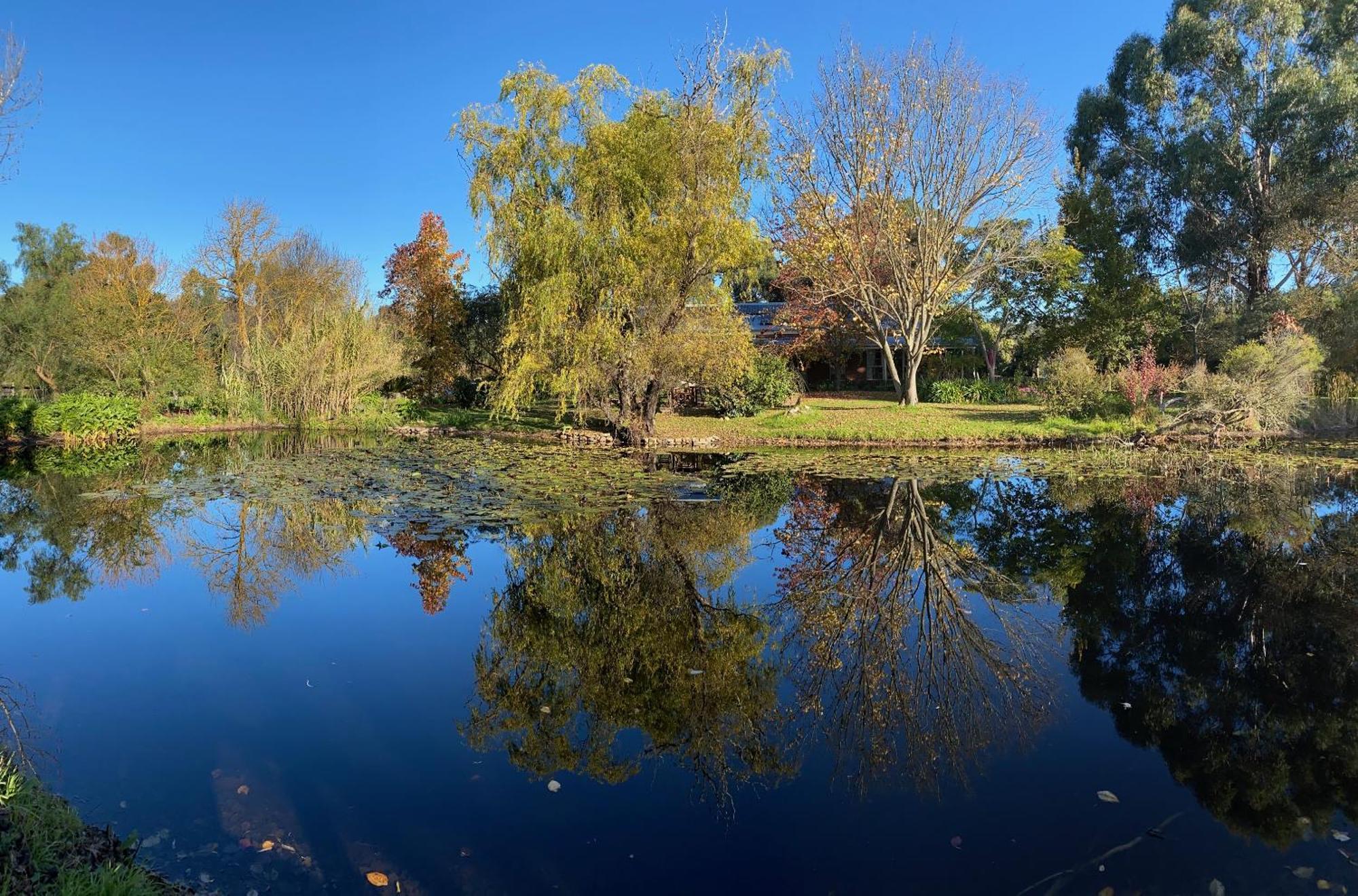 Holly Lane Mews Motel Yarra Glen Dış mekan fotoğraf