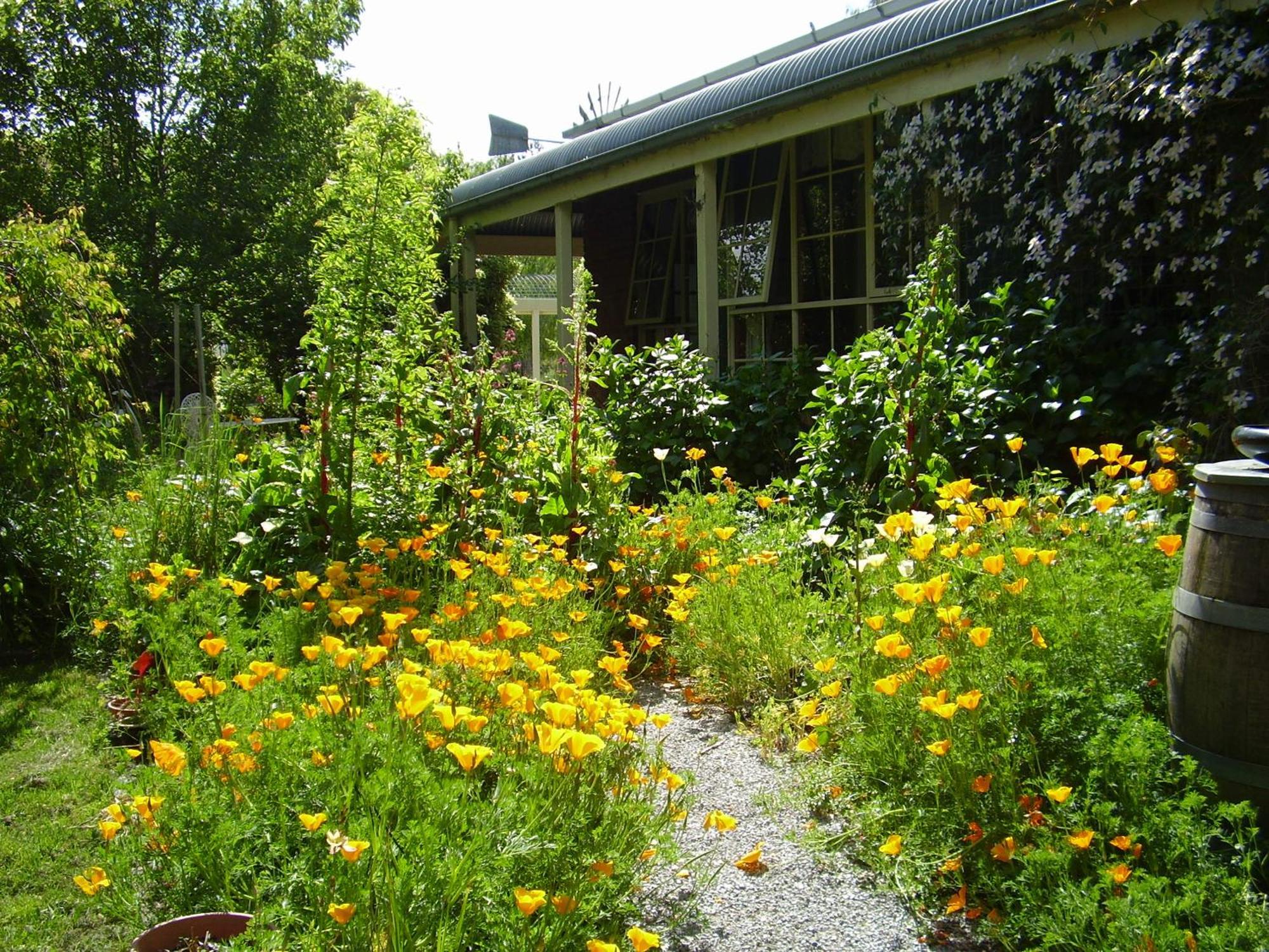 Holly Lane Mews Motel Yarra Glen Dış mekan fotoğraf