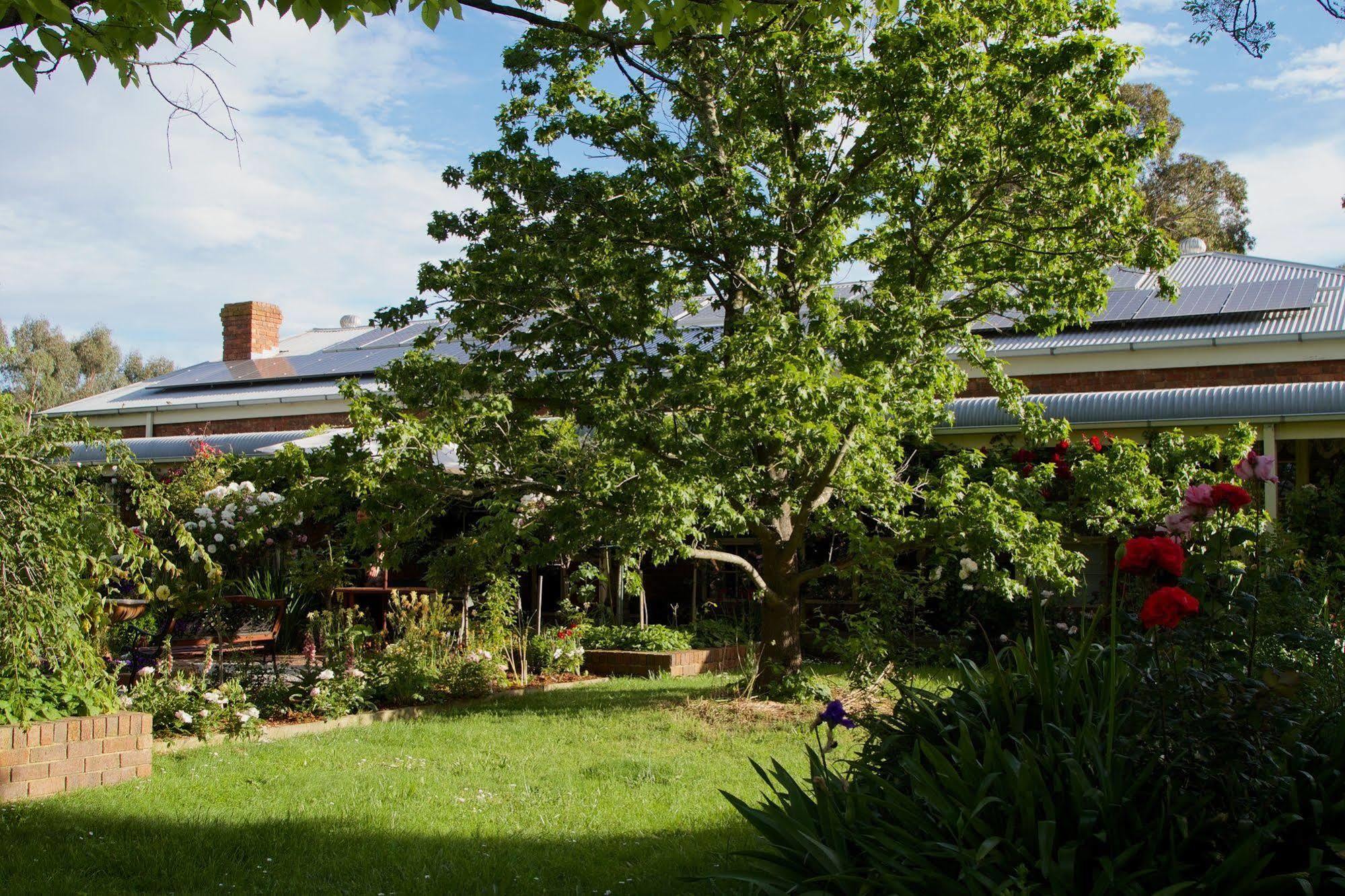 Holly Lane Mews Motel Yarra Glen Dış mekan fotoğraf