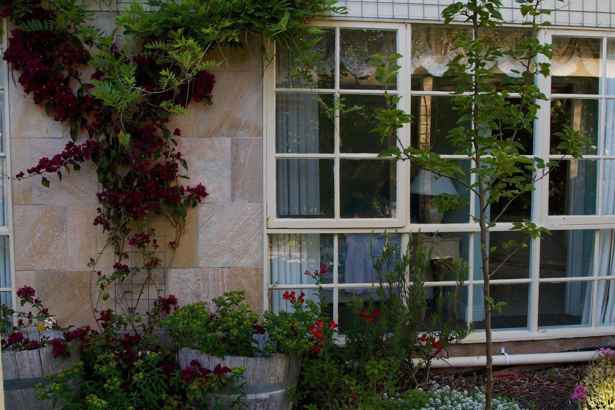 Holly Lane Mews Motel Yarra Glen Dış mekan fotoğraf